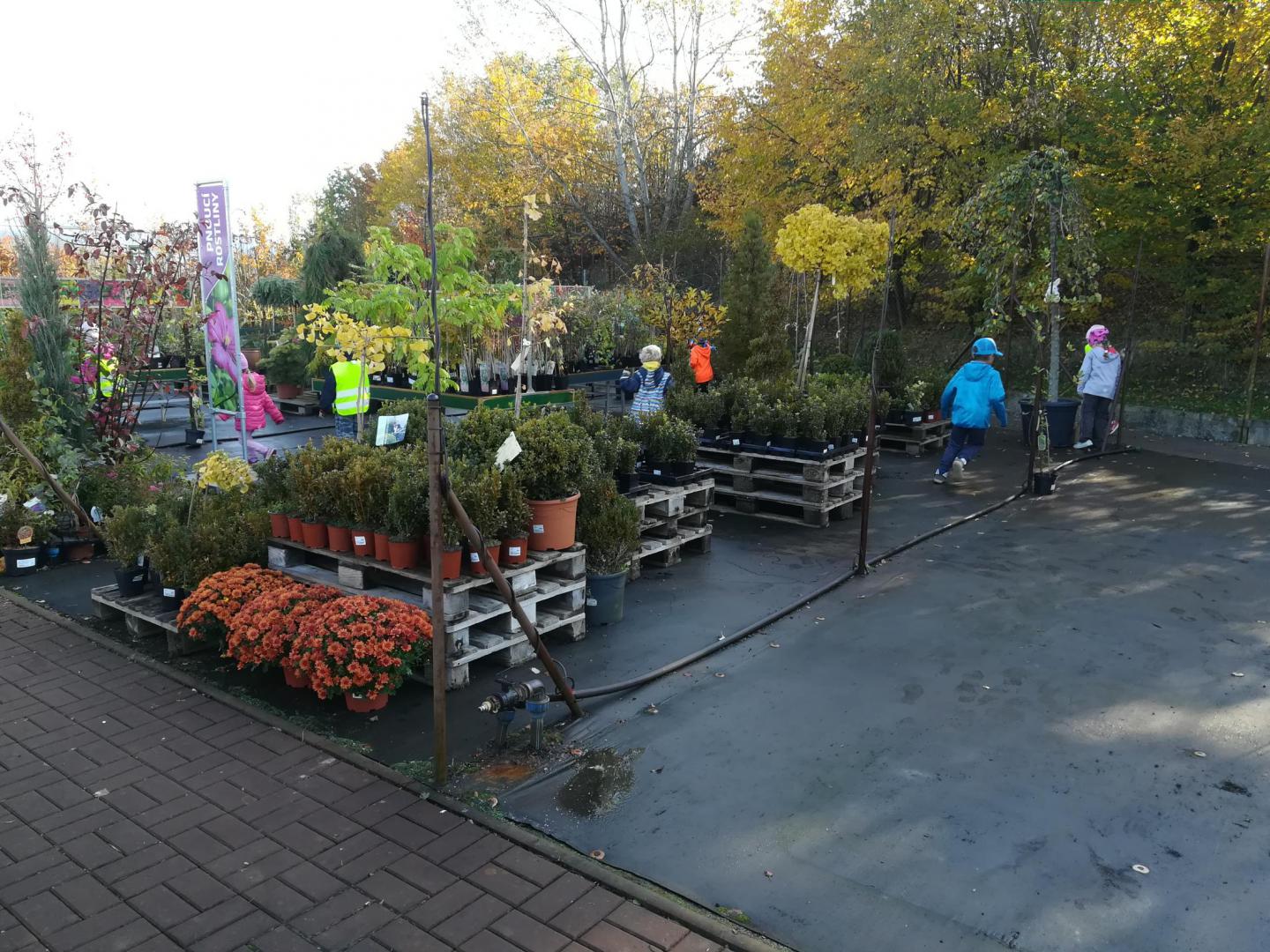 Bublinky Na Dynobrani Materska Skola Pardubice Dubina Erno